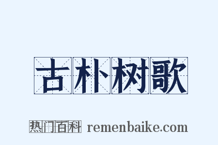 古朴树歌是什么意思的图片